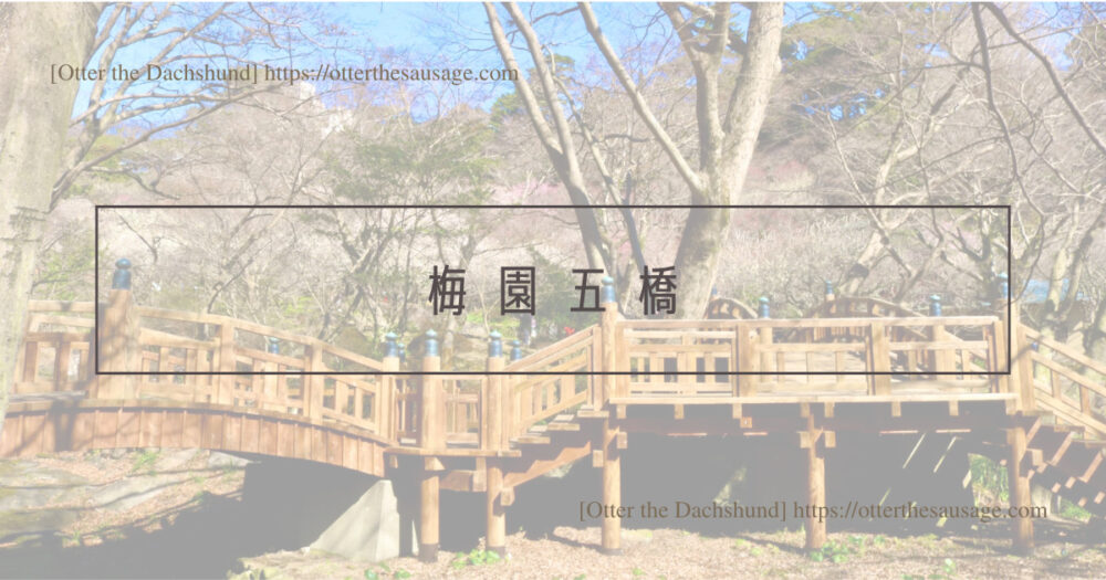 Blog Header image_犬と旅行_犬連れ旅行_熱海梅園_Atami plum garden_梅園五橋